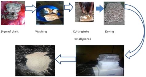 Combined scouring-bleaching of cotton fabric from wild yam root - Lami ...