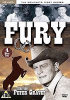 Fury - Black stallion on the live-action Saturday morning western adventure FURY/NBC/1955-60 ...