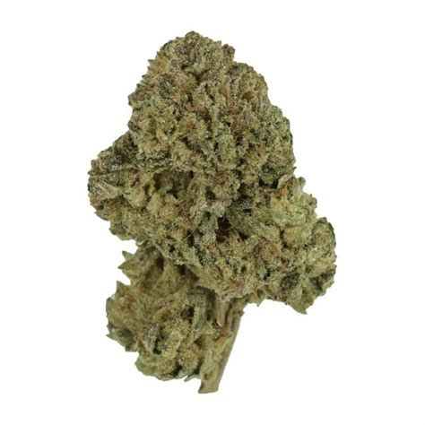 Buy Weed Online | GrassLife | Bubble Gum