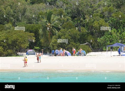 Camping at Whitsunday Islands National Park Whitehaven Beach Queensland Australia Stock Photo ...