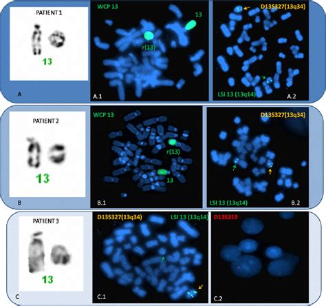 Illustration of standard and fluorescence in situ hybridization... | Download Scientific Diagram