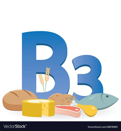 Foods rich in vitamin b3 Royalty Free Vector Image