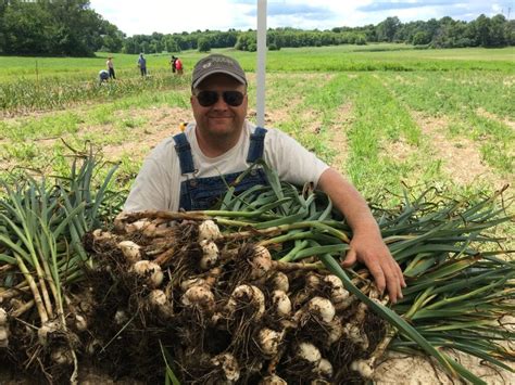 Spring Garlic Fertilizing | Keene Garlic