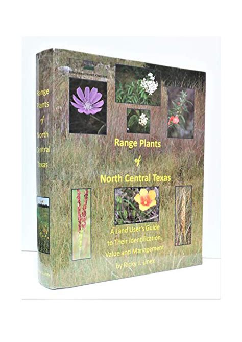 Texas Range Plants | Native American Seed