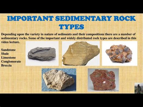 Types of Sedimentary Rocks | Hindi | Part-5 | Engineering Geology | - YouTube