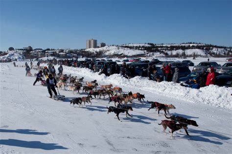 Top 8 Most Famous Festivals in Greenland - toplist.info