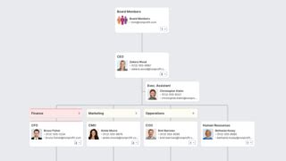 Org Chart For Nonprofit