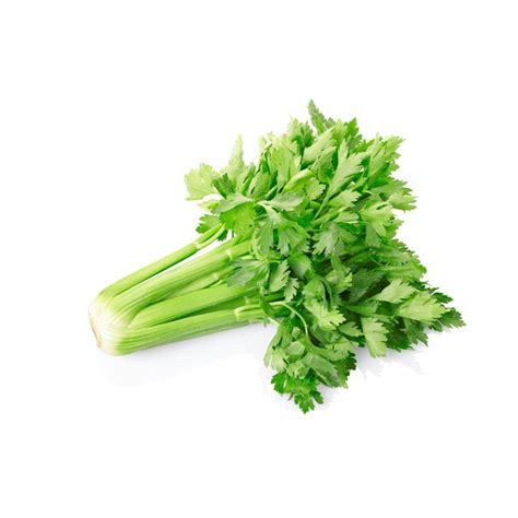 Celery Vegetables, varieties, production, seasonality | Libertyprim