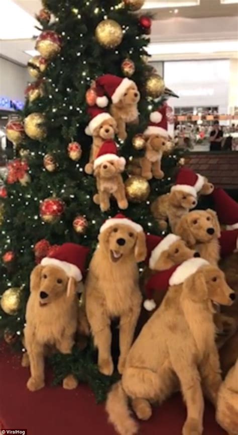 Golden Retriever hidden in Christmas Tree decorations | Daily Mail Online