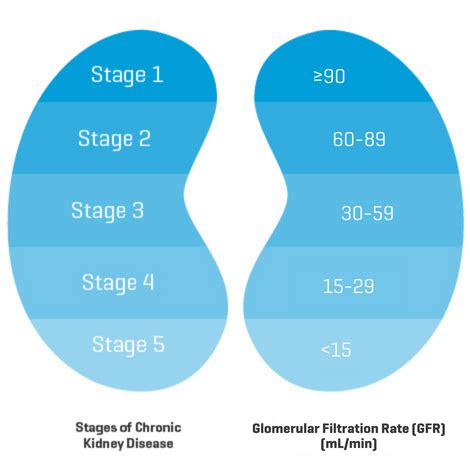 Chronic kidney disease – stages & causes | My Kidney Journey