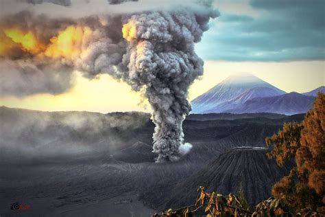 Did Volcanoes Kill the Dinosaurs?