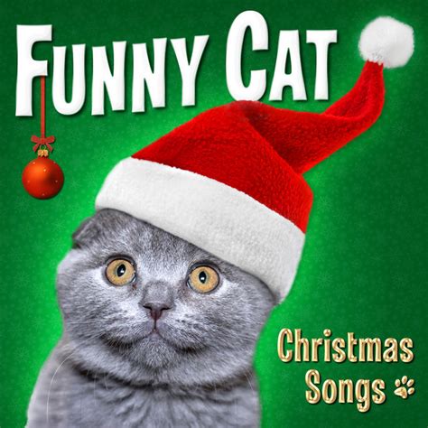 BPM and key for Jingle Bells by Funny Cats | Tempo for Jingle Bells | SongBPM | songbpm.com