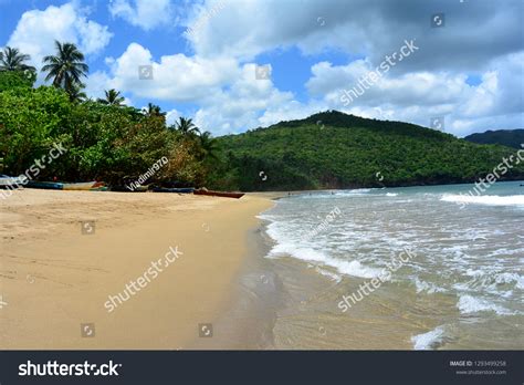 111 Samaná peninsula Images, Stock Photos & Vectors | Shutterstock