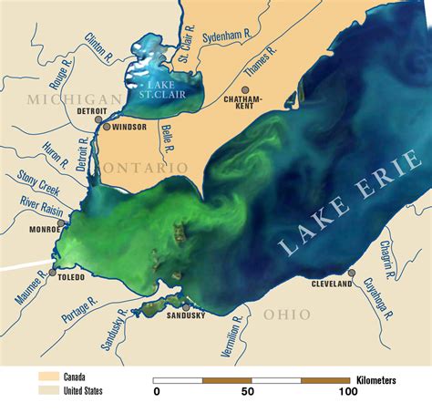 Toxic algae bloom on Lake Erie a sign of things to come: experts ...