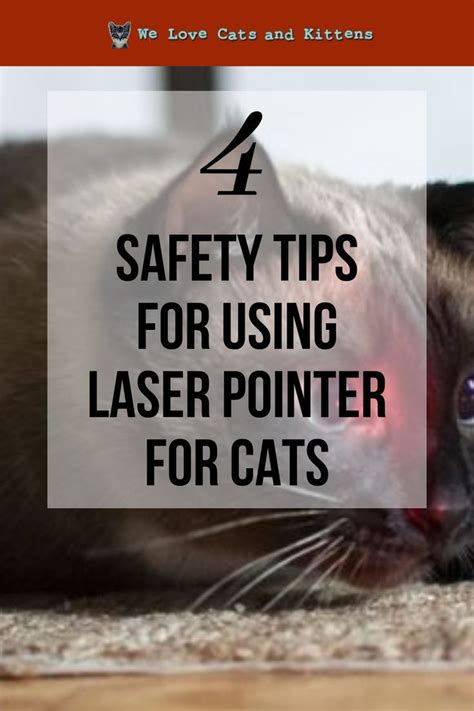 Laser Pointer for Cats. Good or Bad for Your Cat? | Cat laser, Cat laser toy, Laser pointer