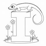 Alphabet Worksheets Coloring  AlphabetWorksheetsFreecom sketch template