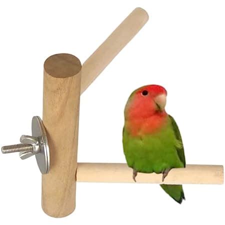 KSK Natural Wood Bird Perch Stand-Wooden Parrot Perch Stand-Perch ...