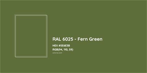 Fern Green Color Color Palette Ideas - vrogue.co