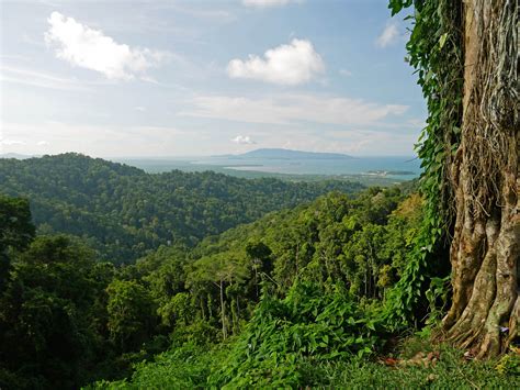 Coral Reefs Birds of Paradise & Tribal Rainforests of Papua New Guinea ...