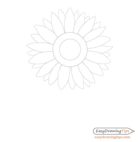 How to Draw a Sunflower Step by Step - EasyDrawingTips