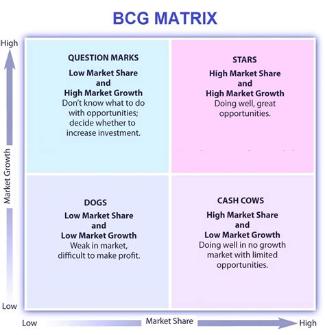 bcg matrix sample