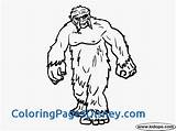 Yeti Coloring Pages At GetColoringscom  Free Printable Colorings sketch template