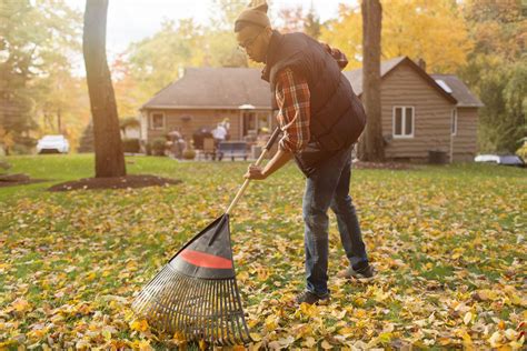 Falling Leaves Lawn Care