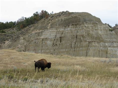 Take on the Badlands at Theodore Roosevelt National Park South Unit