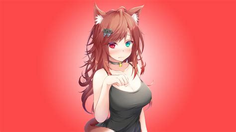 Anime Cat Girl HD Wallpapers - Wallpaper Cave