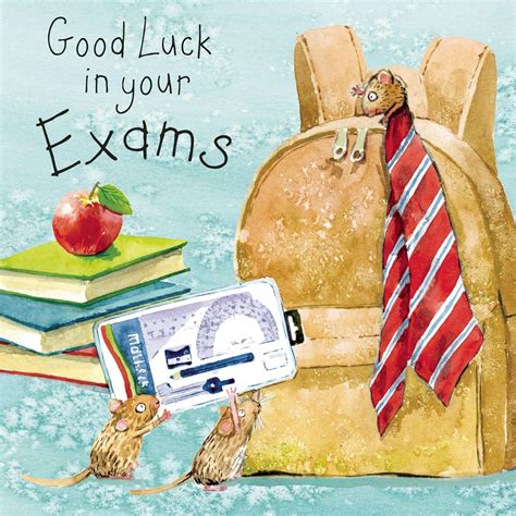 Twizler Good Luck in Your Exams Card - Good Luck Card - Good Luck Exams Card - Good Luck Gifts ...