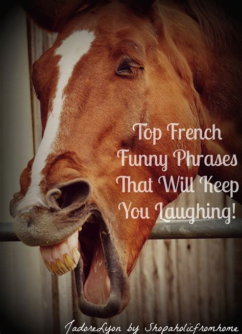 My List of 30 French Funny Phrases That Will Make You Laugh!