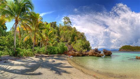 Indonesia Lelintah West Papua beaches Nature Palms HD wallpaper | Pxfuel