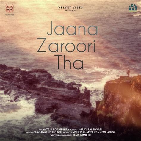 Jaana Zaroori Tha Lyrics - Tejas Gambhir - Only on JioSaavn