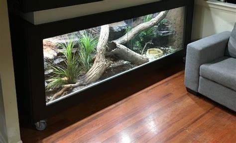 DIY Reptile Enclosure : 7 Snake Enclosure Ideas to Try Now