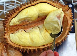 How to Eat Durian Fruit, A Tropical Delight