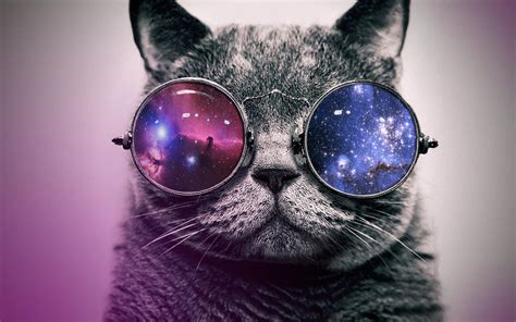 Hipster cat with glasses by AnneDeLune on DeviantArt