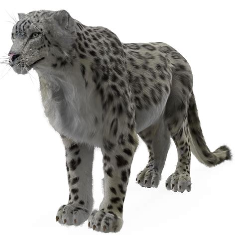 snow leopard fur 3d model