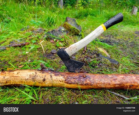 Axe Felling Trees. Image & Photo (Free Trial) | Bigstock