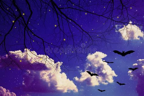 Halloween night sky stock photo. Image of paradise, color - 126637260