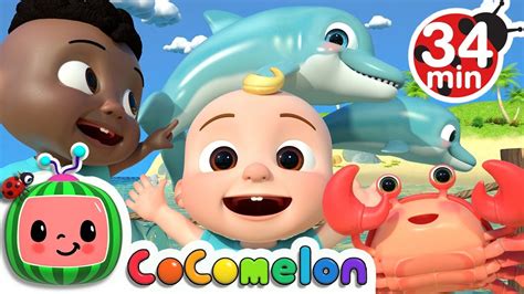 Sea Animal Song + More Nursery Rhymes & Kids Songs - CoComelon | สรุปเนื้อหาที่เกี่ยวข้องcoco ...