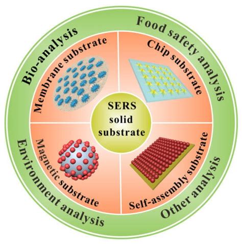 Biosensors | Free Full-Text | Recent Progress on Solid Substrates for Surface-Enhanced Raman ...