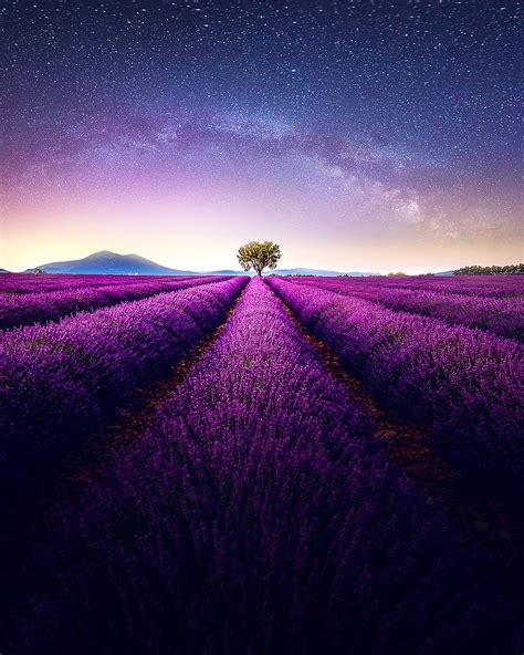 HD wallpaper: night, landscape, iphone wallpaper, field, sky, purple ...