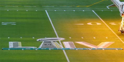 Super Bowl LIV - Super Bowl Field - Super Bowl Grass