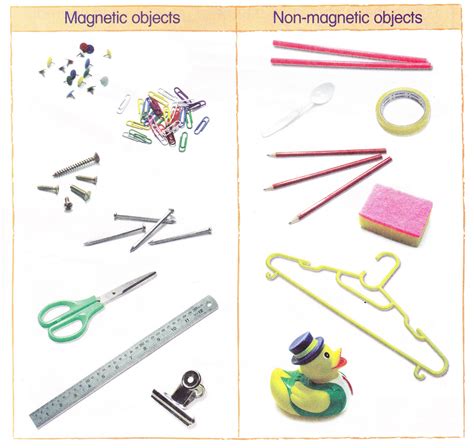 Science (Magnet): Magnetic and Non-Magnetic Objects