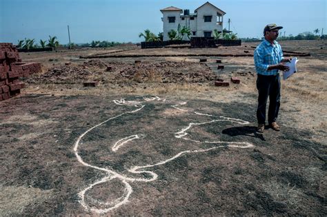 Ancient Rock Art in the Plains of India - The New York Times