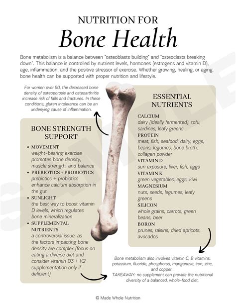 Nutrition for Bone Health Handout — Functional Health Research + Resources — Made Whole Nutrition