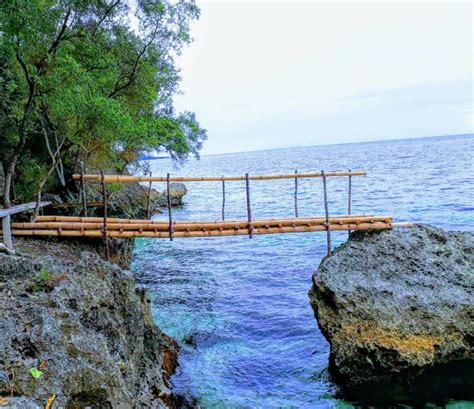 7 Beautiful Resorts to stay when in Oslob | Sugbo.ph - Cebu