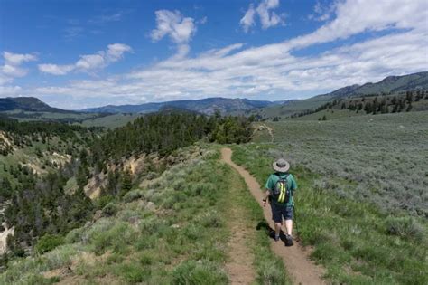 Yellowstone: Grand Canyon Rim Hike 2023 Yellowstone National Park | lupon.gov.ph