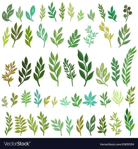 Drawing green leaves Royalty Free Vector Image