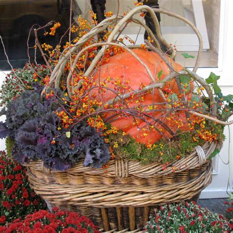 19 Fall Container Garden Ideas